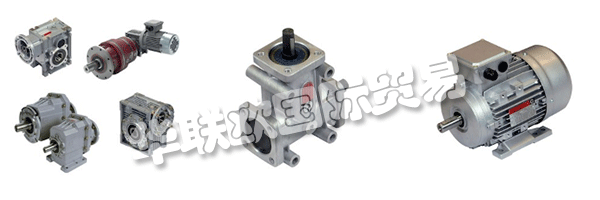 財(cái)產(chǎn)的意愿都是維持和鞏固集團(tuán)的領(lǐng)導(dǎo)地位CHIARAVALLI，