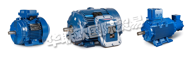 Regal的商業(yè)組織與CEMP?Srl一起，通過遍布許多國(guó)家的代理商，