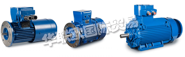 Regal成立于1954年，擁有CEMP?Srl，是意大利首批生產(chǎn)防爆防爆電機(jī)的公司之一。