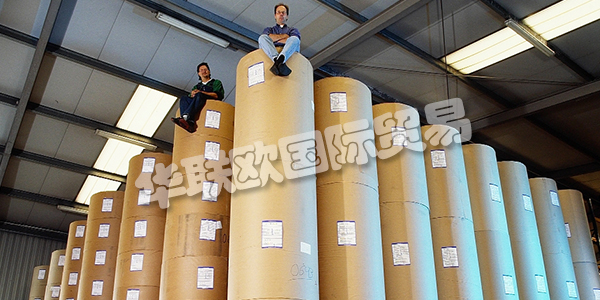 APV德國(guó)是歐洲卷材紙和柔性材料加工領(lǐng)域的領(lǐng)先公司之一。在客戶不斷變化的需求的推動(dòng)下，他們不斷努力改進(jìn)和完善他們的加工技術(shù)。這得到了密集投資計(jì)劃的支持。因此，他們實(shí)現(xiàn)了先前的機(jī)器擴(kuò)展和存儲(chǔ)容量的擴(kuò)展。2011年，Bramsche工廠新建了一個(gè)生產(chǎn)車間，為高科技，醫(yī)療技術(shù)和食品行業(yè)的客戶提供清潔和衛(wèi)生的特殊條件。