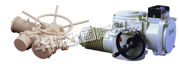 歐洲捷克ZPA-PECKY公司的產品主要有：ZPA PECKY執(zhí)行器、ZPA PECKY電機、伺服電機、單回轉執(zhí)行器、多回轉執(zhí)行器、杠桿伺服電機、線性伺服電機、伺服電機的配置器、ZPM變速箱、Mastergear變速箱、單轉伺服電機、多圈伺服電機、推力伺服電機。