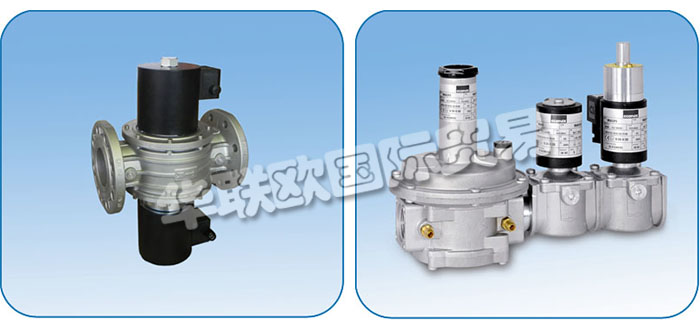 意大利ECONEX公司主要供應(yīng)：意大利ECONEX閥門,ECONEX電動執(zhí)行器，旋轉(zhuǎn)執(zhí)行器，電磁閥，蝶閥，球閥，調(diào)節(jié)閥，氣體過濾器，接頭，軟管，壓力開關(guān)，變壓器，壓力表，渦輪燃氣表等產(chǎn)品。