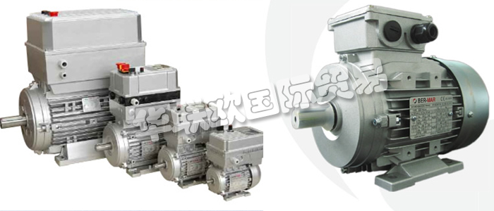 意大利BERMAR公司的主要產(chǎn)品包括：意大利BERMAR電機、BERMAR電動機、異步電機、異步電動機、永磁發(fā)動機、逆變器、伺服通風(fēng)電動機、伺服電動機、工業(yè)洗衣機電動機、單相電動機、DRIVEJET鼓風(fēng)機、高效電機、泵、風(fēng)扇、工業(yè)壓縮機。