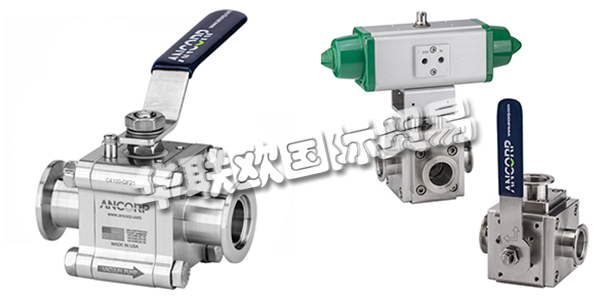 美國(guó)ANCORP公司主要供應(yīng)：美國(guó)ANCORP閥門,ANCORP過濾器，真空閥，疏水閥，真空球閥，二通球閥，三通球閥，高電導(dǎo)球閥，顆粒分離器，螺栓，螺母，固定環(huán)，夾具等產(chǎn)品。