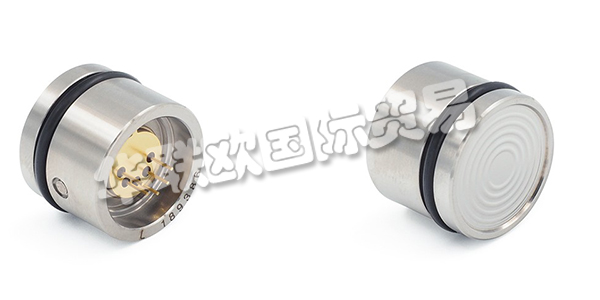 瑞士凱樂KELLER壓力傳感器產(chǎn)品技術(shù)介紹