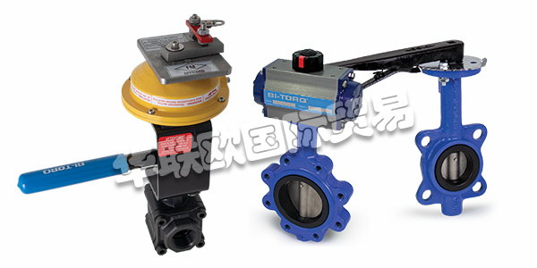 美國STRAHMAN閥門產(chǎn)品描述(STRAHMAN閥門產(chǎn)品功能和選項(xiàng))